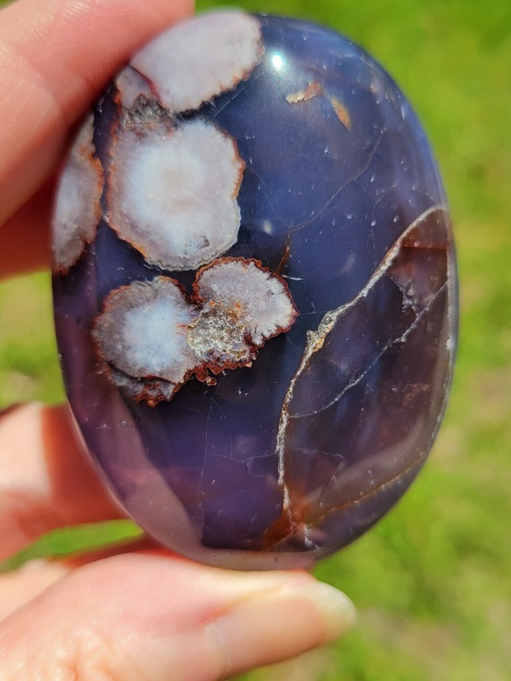 Blue Flower Agate Palm Stone (*FA707)